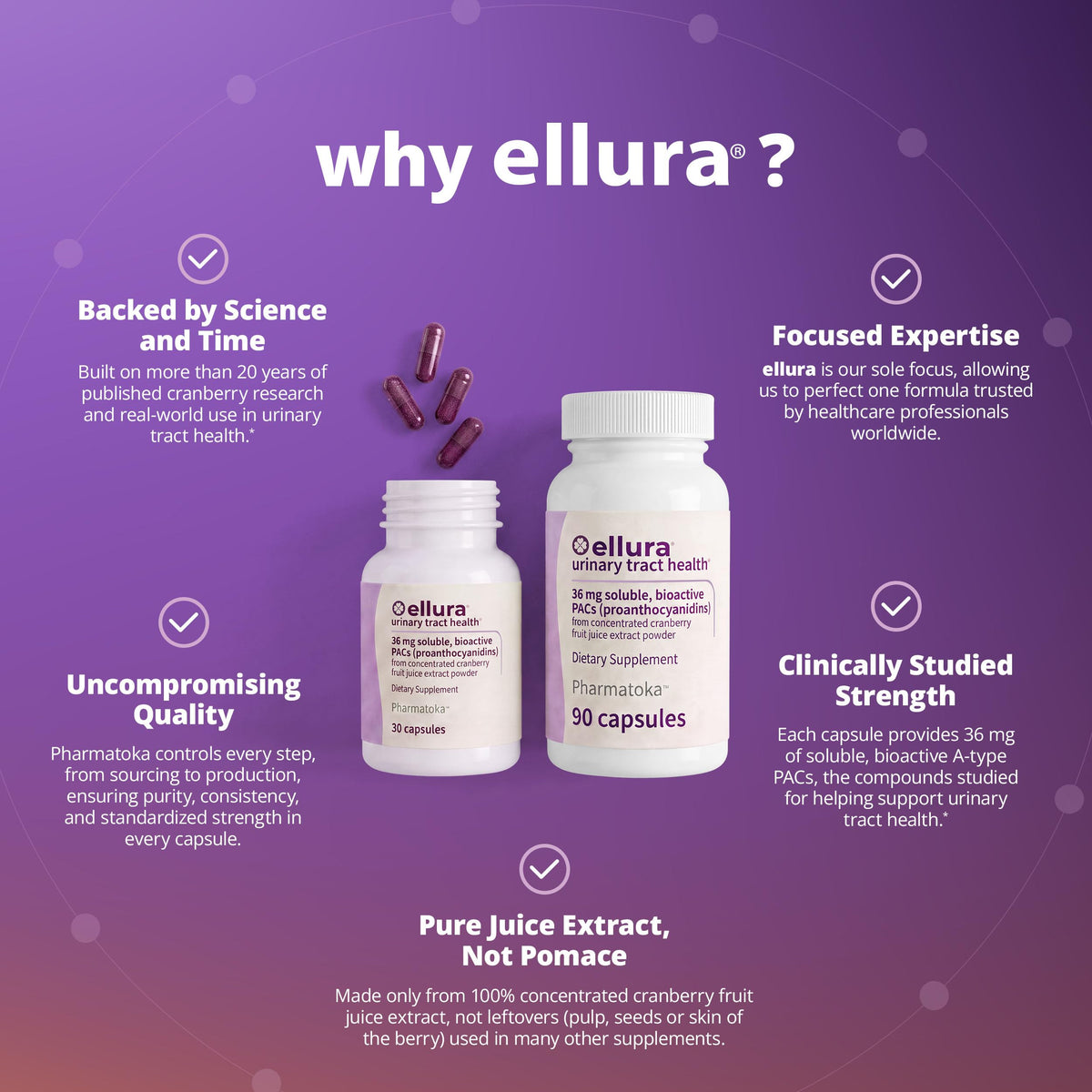 ellura Complément Alimentaire Cranberry 36 mg PACs Bioactifs - vue arrière