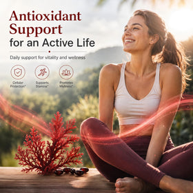 Elvtafu Astaxanthin 240 gélules ouvert avec gélules visibles