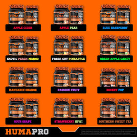 Emballage ALR Industries Humapro, Thé Sucré du Sud, 45 portions