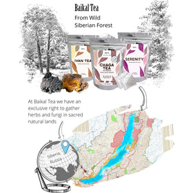 Emballage de Chaga Tea Baikal Tea avec étiquette