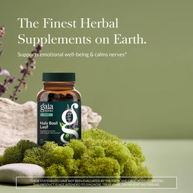 Emballage de Gaia Herbs Basilic Sacré avec détails du produit