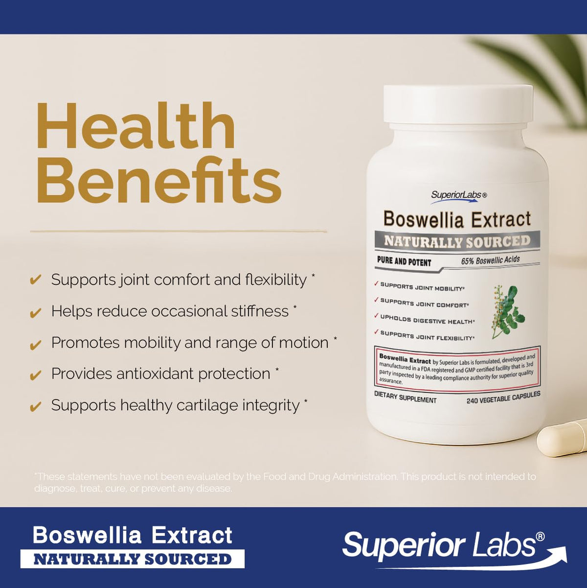 Emballage de l'extrait de Boswellia Serrata 500mg
