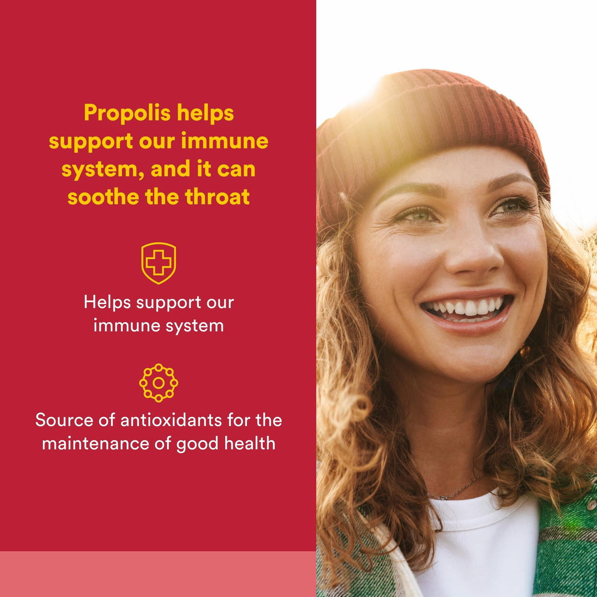 Emballage de l'extrait de propolis Natural Factors, 90 capsules