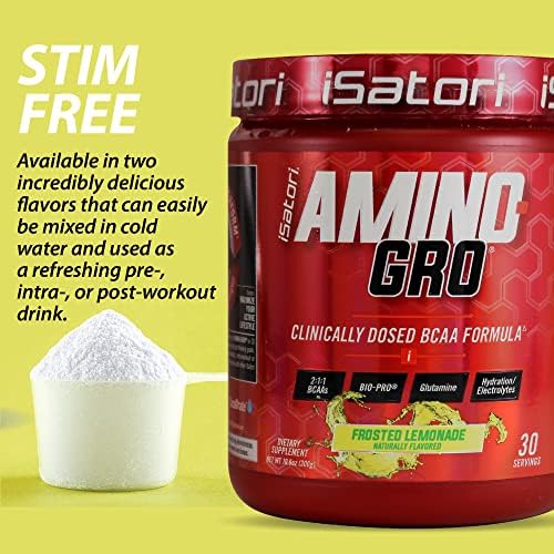 Emballage de la poudre BCAA iSatori Amino-GRO 340g