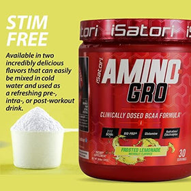 Emballage de la poudre BCAA iSatori Amino-GRO 340g