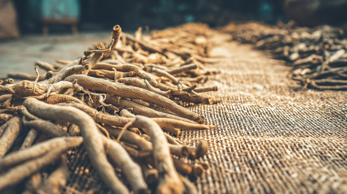 Emballage de la poudre d'Ashwagandha bio avec étiquette visible