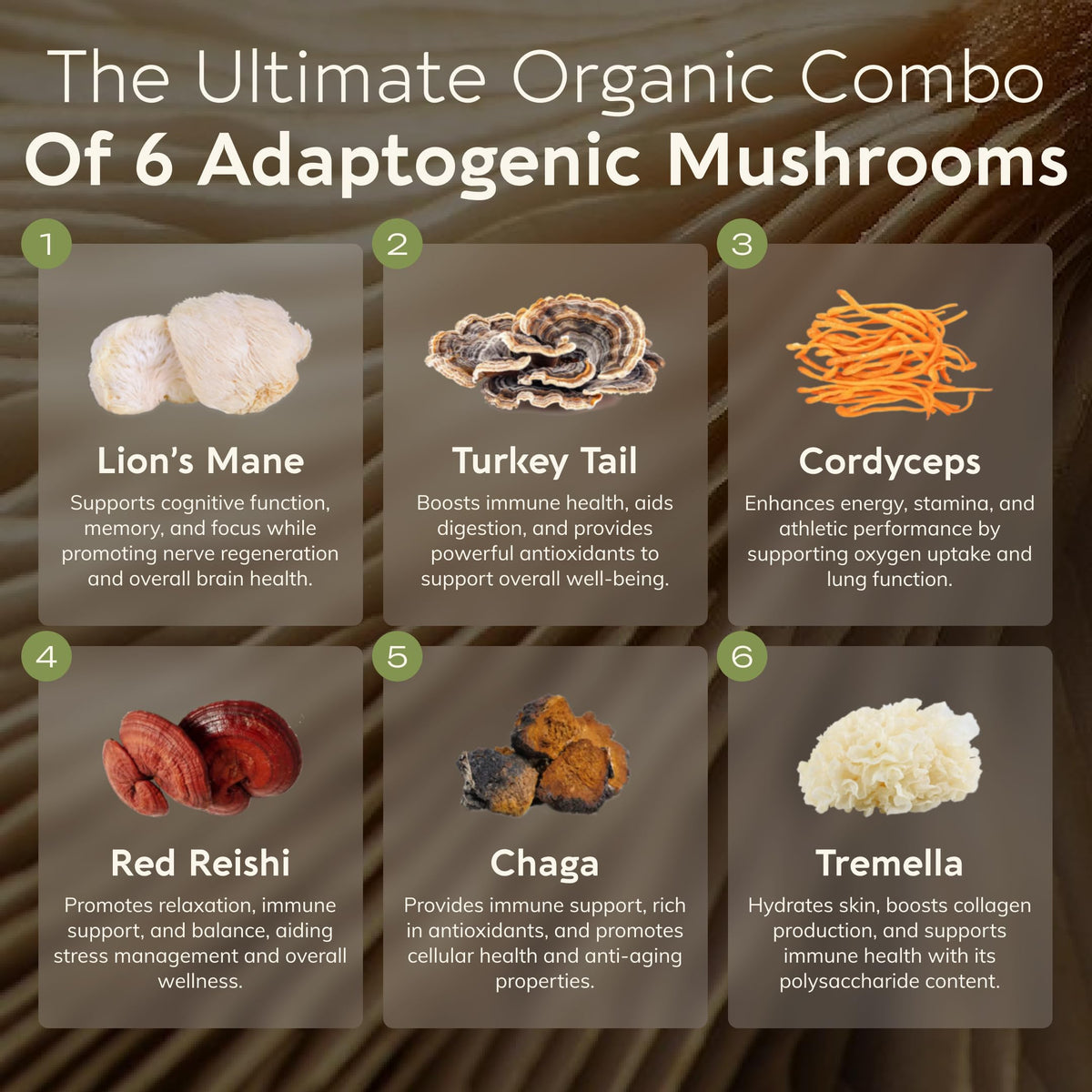 Emballage de la poudre de champignon Super Six avec détails nutritionnels