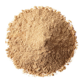 Emballage de la poudre de champignon Turkey Tail Bio Food to Live