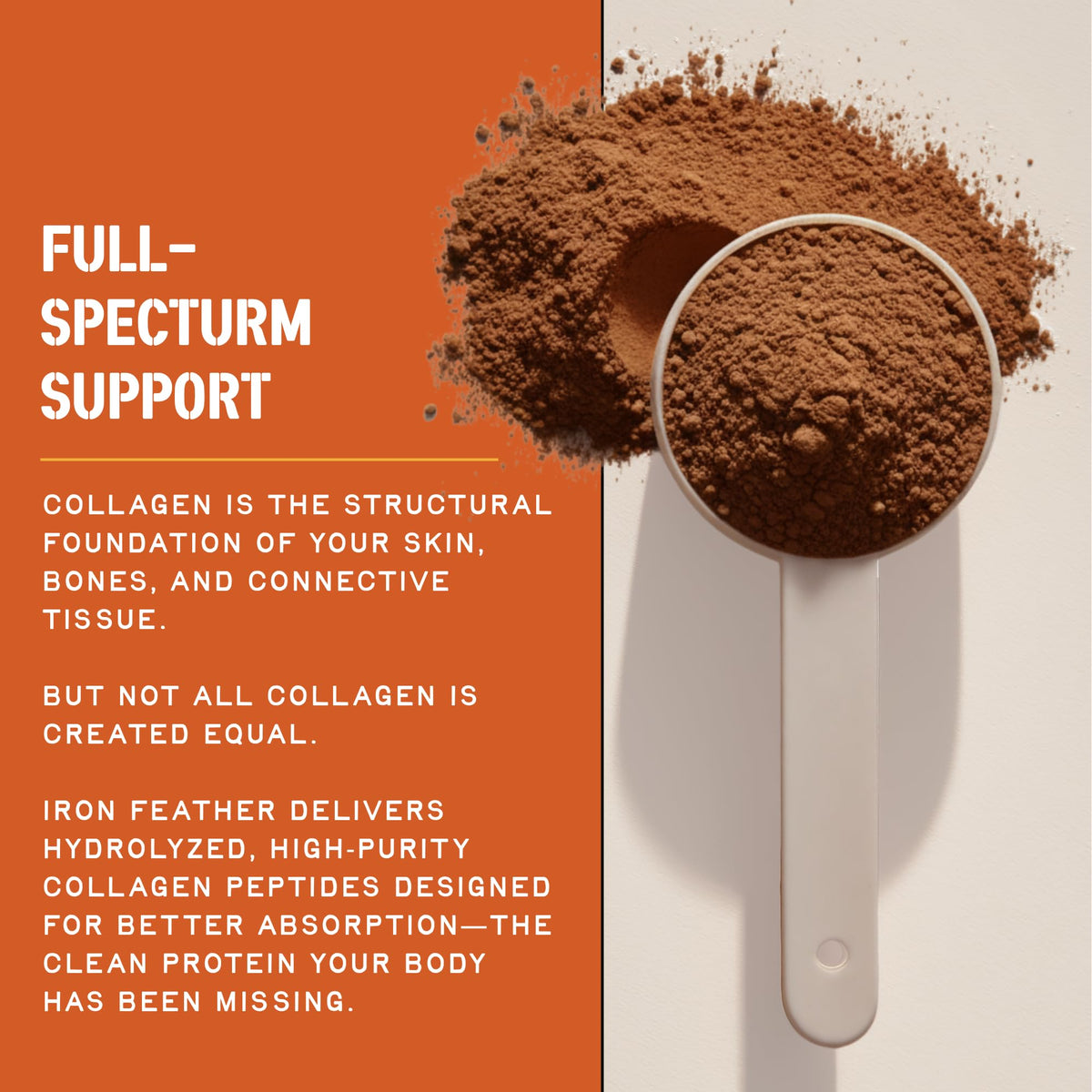 Emballage de la Poudre de Collagène Chocolat CleanForm Nutrition