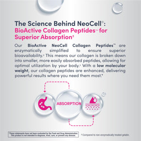 Emballage de la poudre de collagène NeoCell 431g