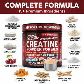Emballage de la poudre de créatine Clean Nutraceuticals 333g