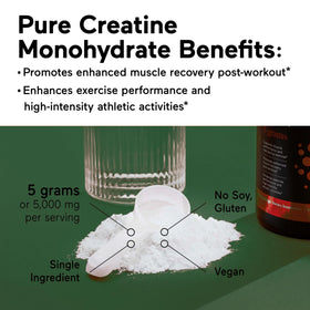 Emballage de la poudre de créatine monohydrate SMARTERNUTRITION