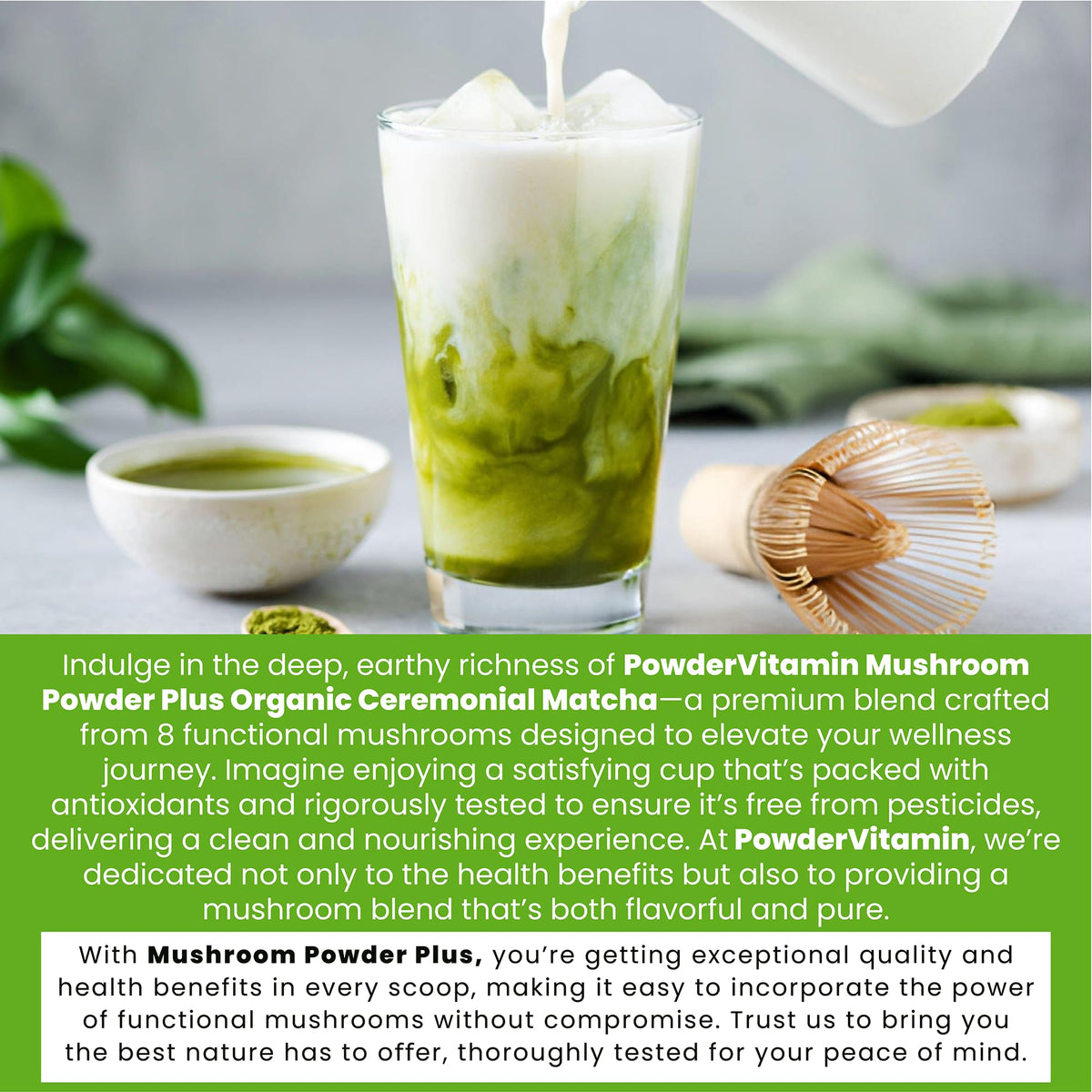 Emballage de la Poudre de Matcha aux Champignons Bio PowderVitamin