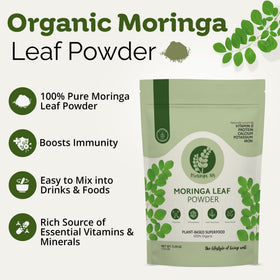 Emballage de la poudre de Moringa 305 de 150g