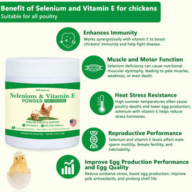Emballage de la poudre de sélénium et vitamine E BiKontrun