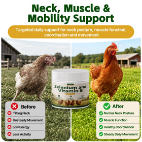 Emballage de la poudre de sélénium et vitamine E pour poules