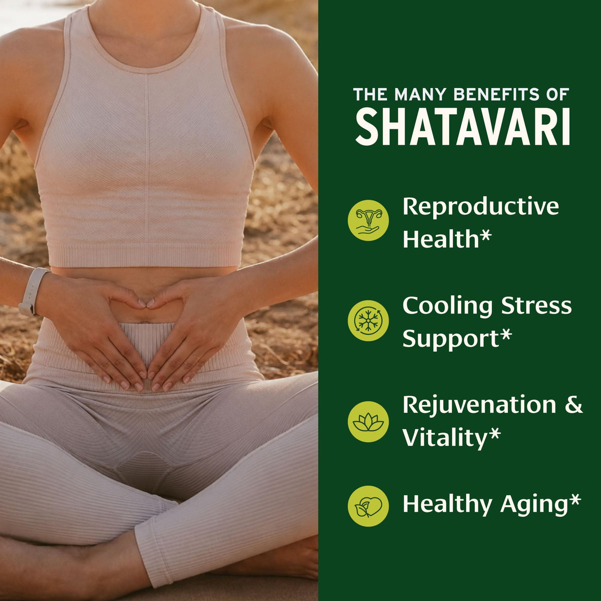 Emballage de la poudre de Shatavari Bio Banyan Botanicals