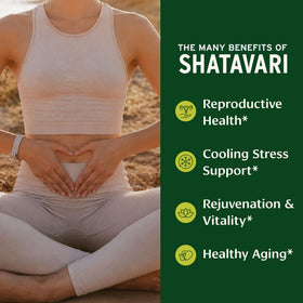Emballage de la poudre de Shatavari Bio Banyan Botanicals