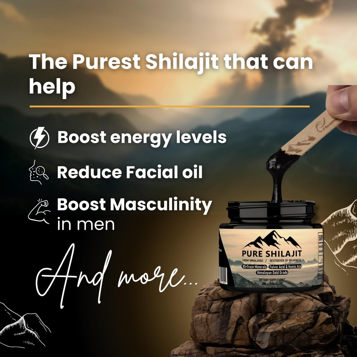 Emballage de la résine de Shilajit Himalayen PURE HEALTH MAX
