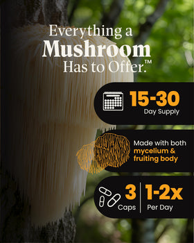 Emballage de Mélange de Lion’s Mane avec Reishi Herb Pharm