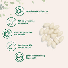 Emballage de Micro Ingredients L-Theanine 400mg