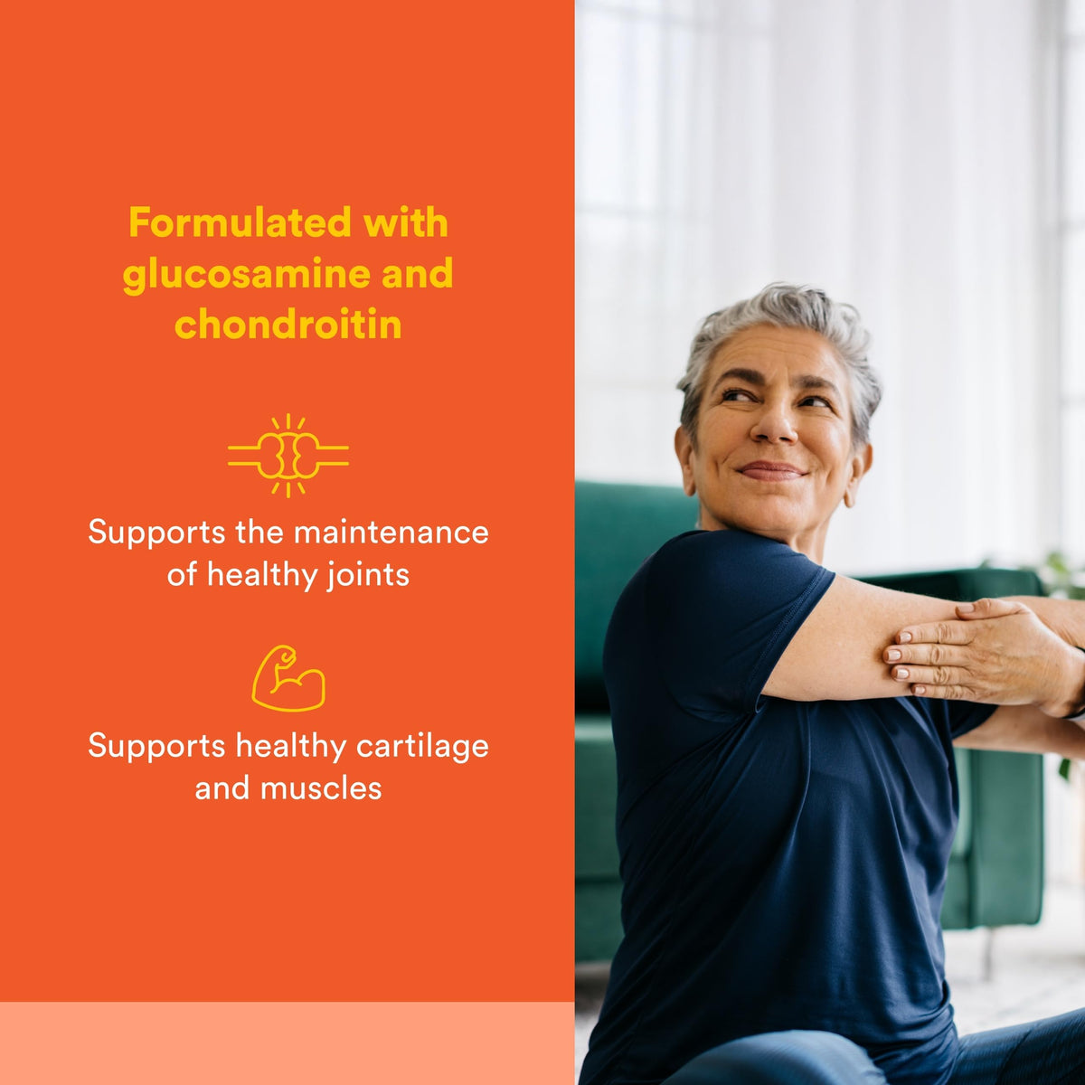 Emballage de Natural Factors MSM 90 Capsules