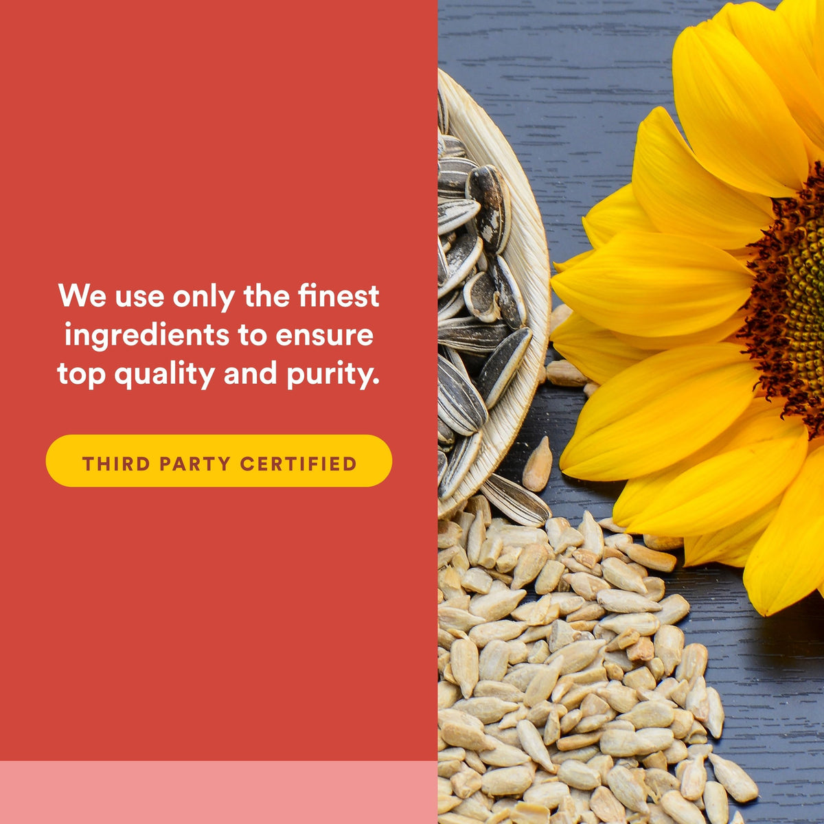 Emballage de Natural Factors PQQ-10 avec les spécifications