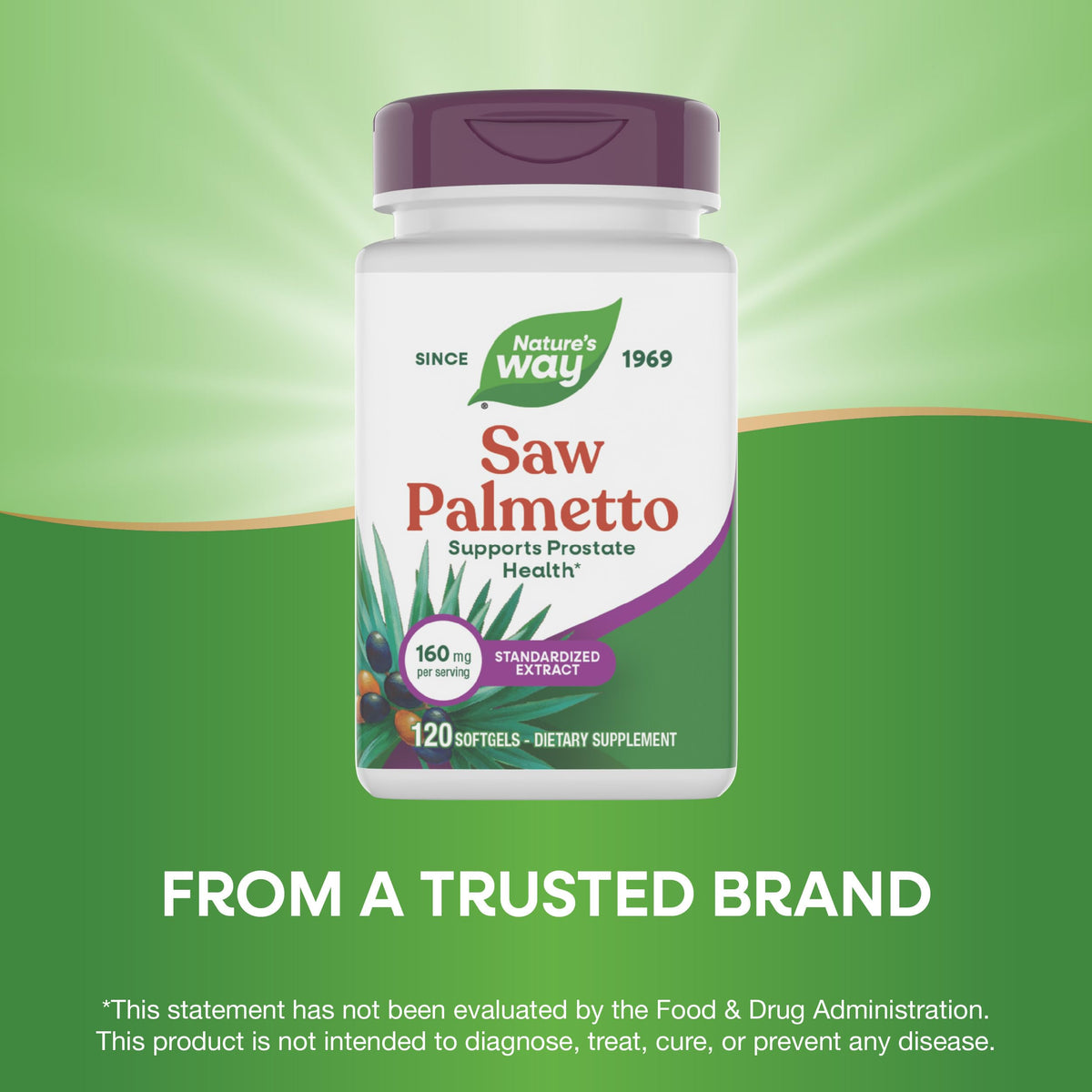 Emballage de Nature's Way Saw Palmetto Extrait Standardisé 160mg