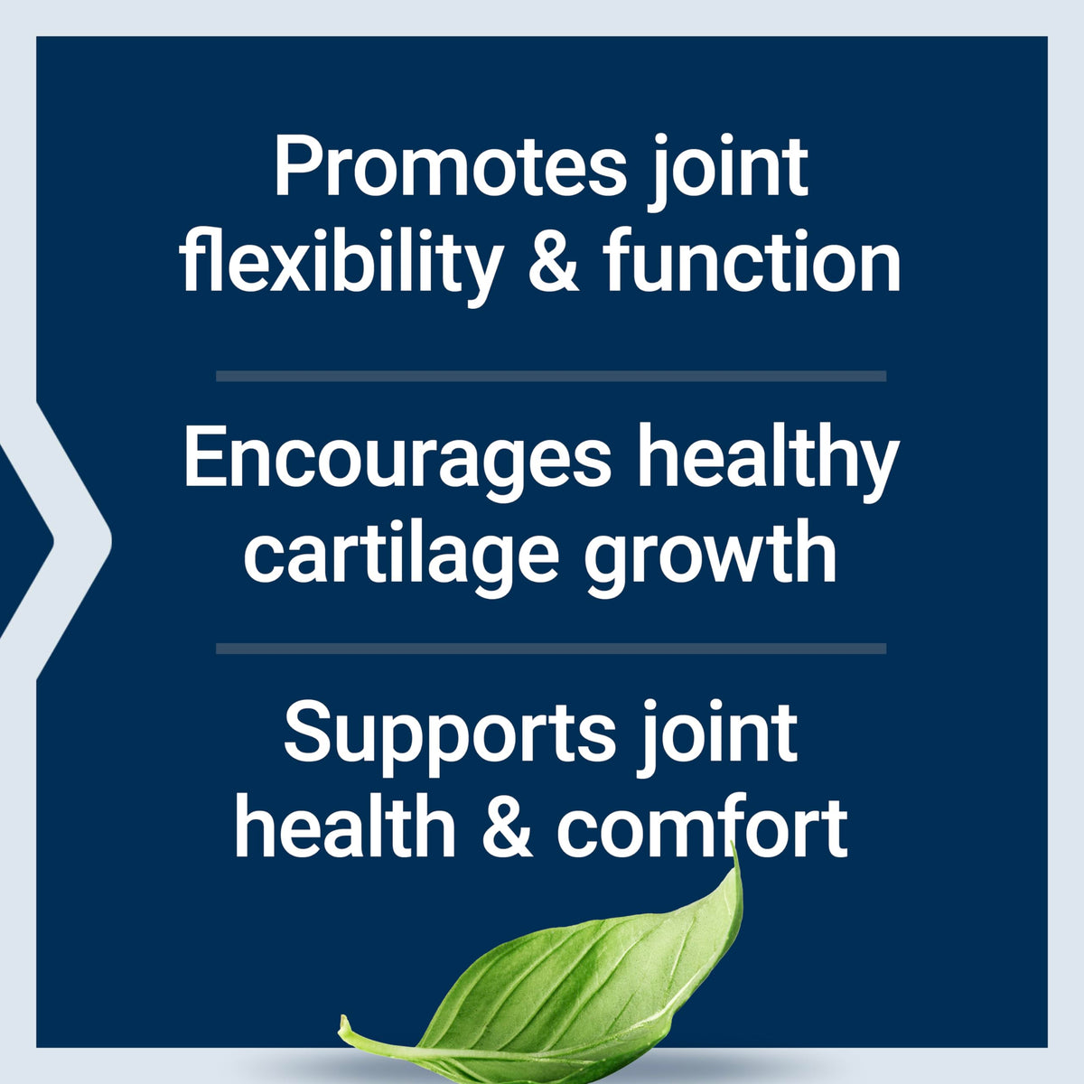 Emballage de NT2 Collagen™ de Life Extension avec dimensions