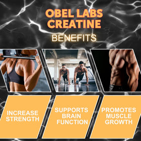 Emballage de Obel Créatine Monohydrate 500g sur fond blanc
