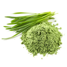 Emballage de Poudre de Blé Vert HERBAL HILLS vue arrière
