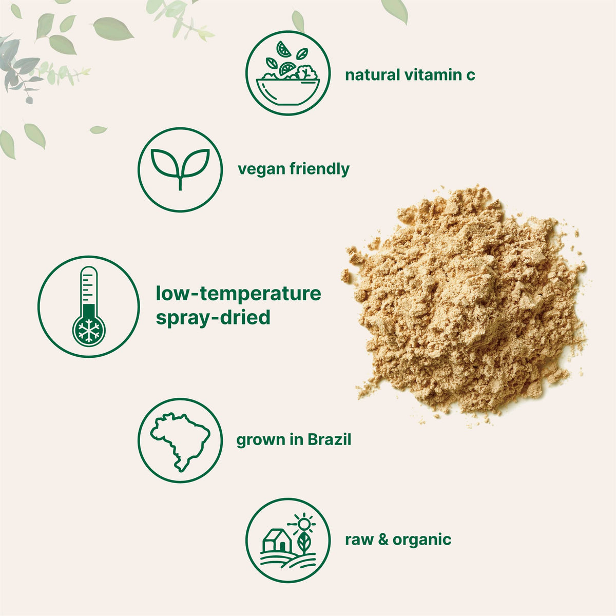 Emballage de poudre de cerise acerola bio Micro Ingredients