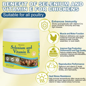 Emballage de Poudre de Sélénium et Vitamine E BiKontrun
