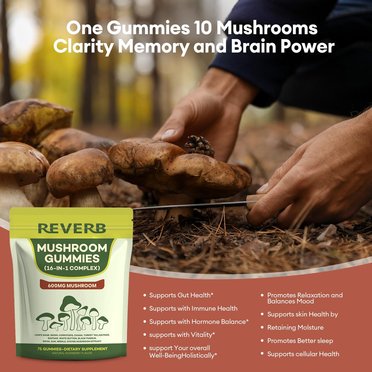 Emballage de REVERB Gummies Champignons 16 en 1
