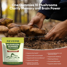 Emballage de REVERB Gummies Champignons 16 en 1