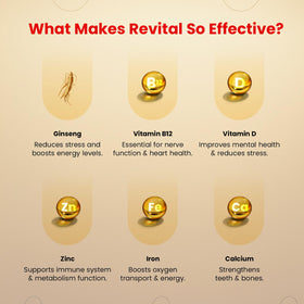 Emballage de Revital 60 Capsules sur fond neutre