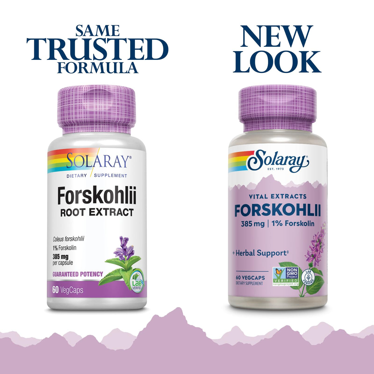 Emballage de SOLARAY Forskohlii 385 mg avec capsules