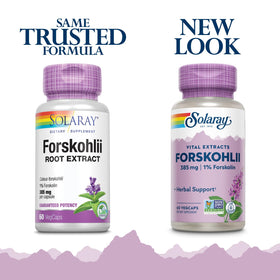 Emballage de SOLARAY Forskohlii 385 mg avec capsules