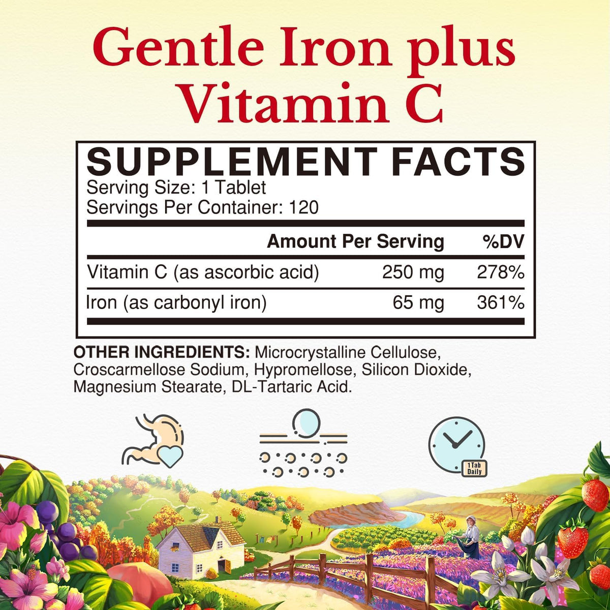 Emballage de Vitalitown Fer 65 mg, étiquette et informations