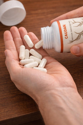 Emballage des capsules CAUDAN avec description des ingrédients