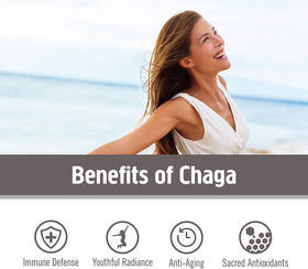 Emballage des capsules Chaga OM MUSHROOM, informations nutritionnelles