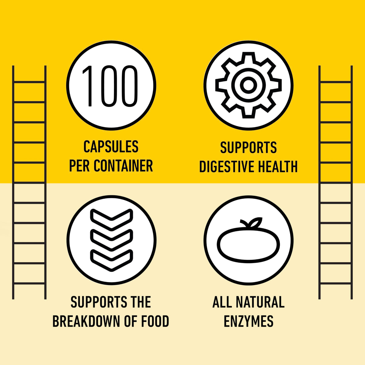 Emballage des capsules d'enzymes daily sur un fond blanc
