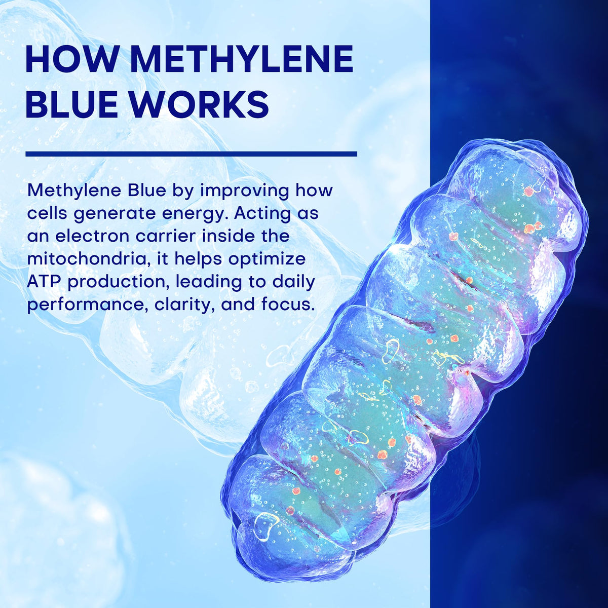 Emballage des capsules de bleu de méthylène UBEEKOO