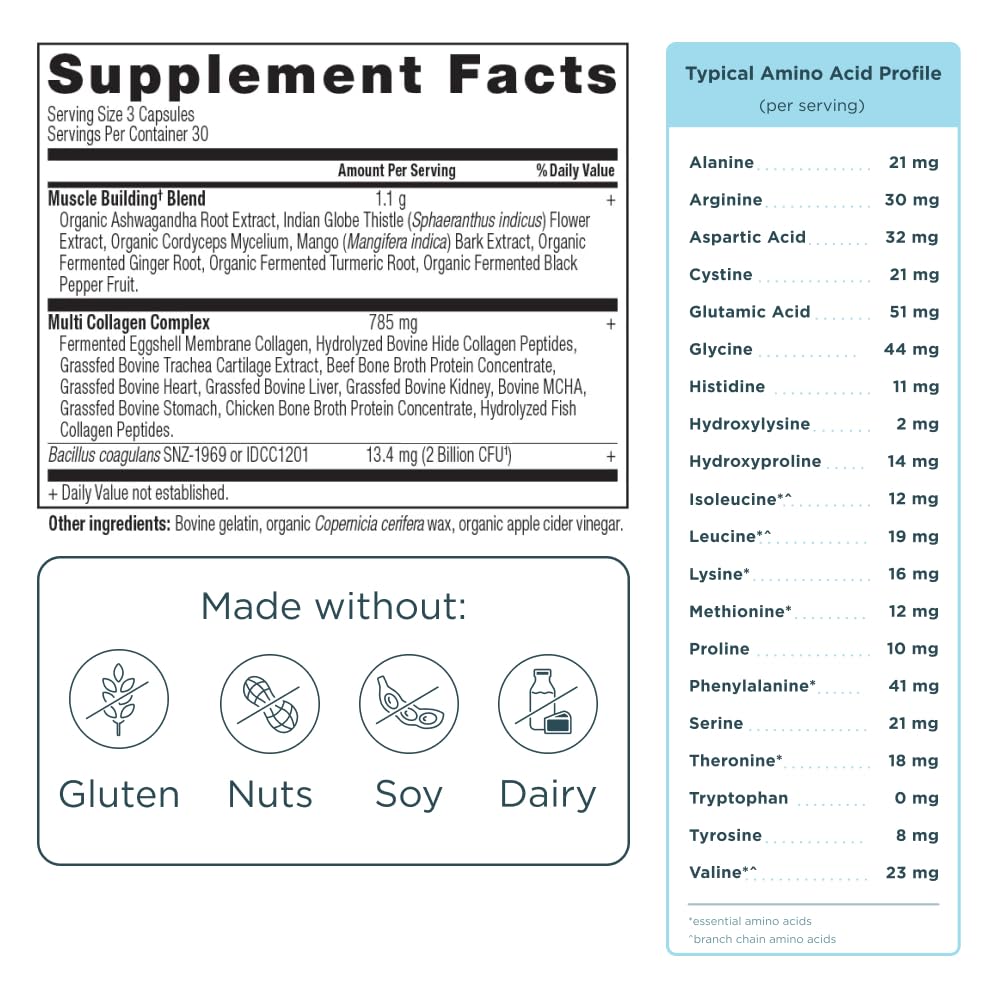 Emballage des capsules de collagène multi avancé d'Ancient Nutrition
