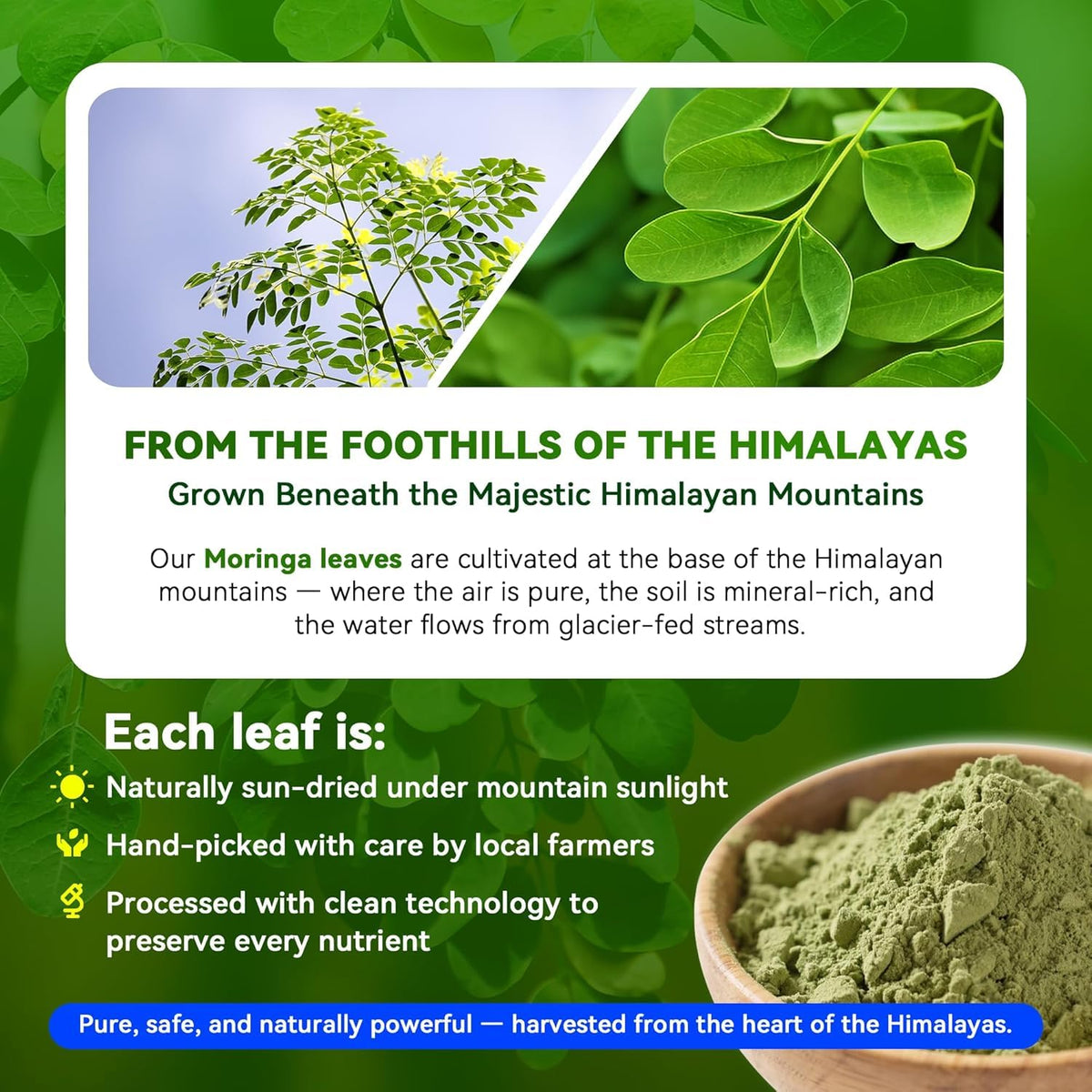 Emballage des capsules de Moringa 1000mg I LOVE HEALTH