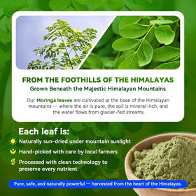Emballage des capsules de Moringa 1000mg I LOVE HEALTH
