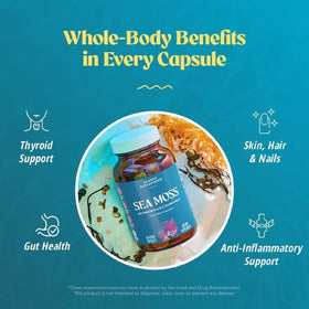 Emballage des capsules de mousse de mer Akasha Superfoods
