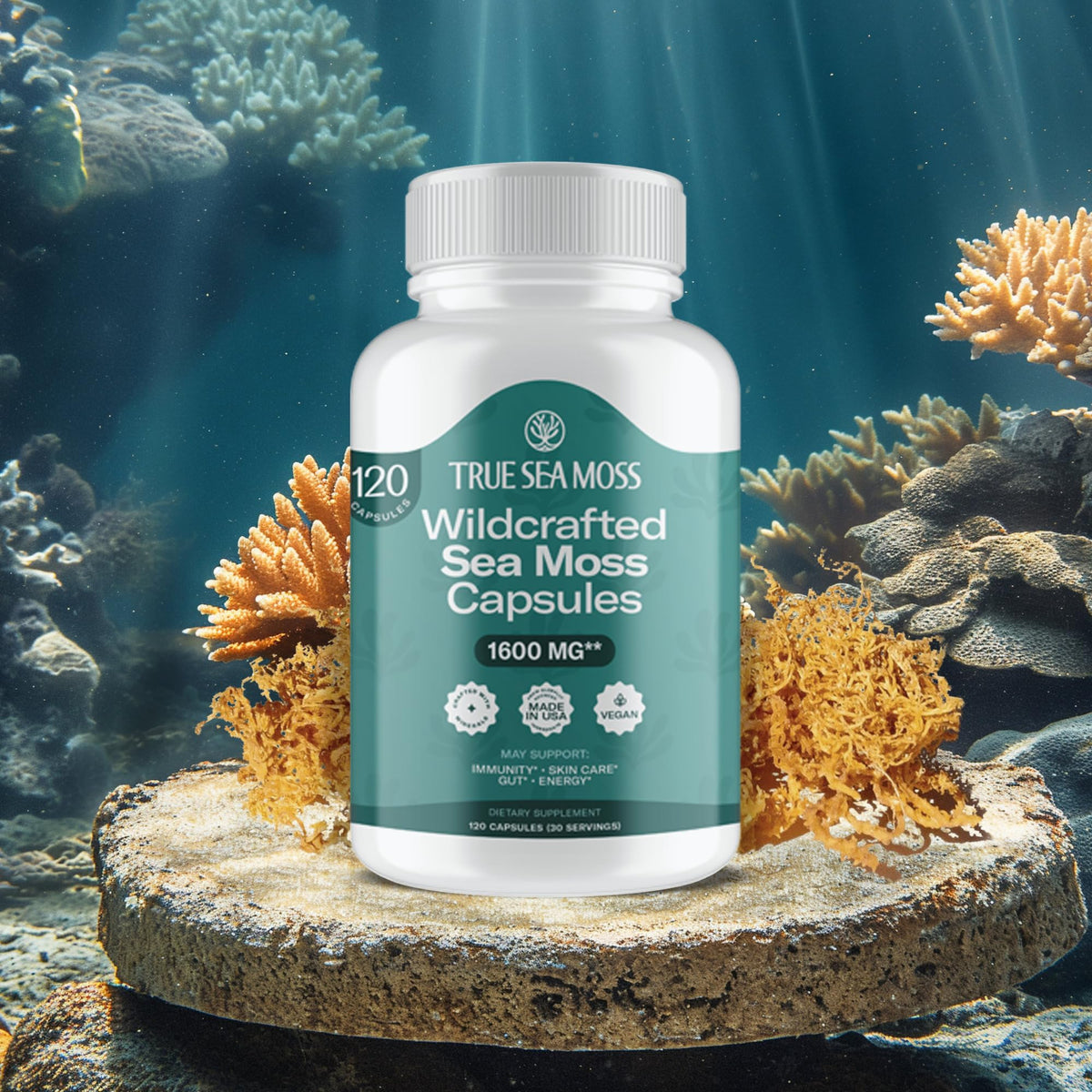 Emballage des capsules de mousse de mer TrueSeaMoss, 120 capsules