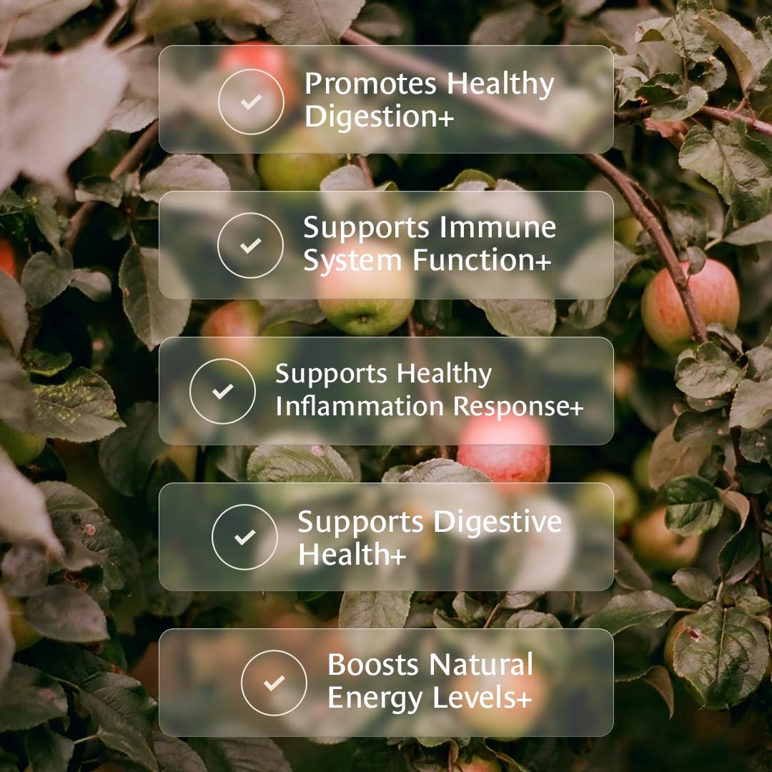 Emballage des capsules de thé Healing Leaves, côté