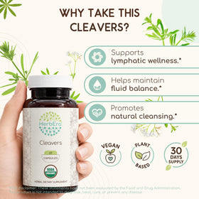 Emballage des capsules HerbEra de Cleavers